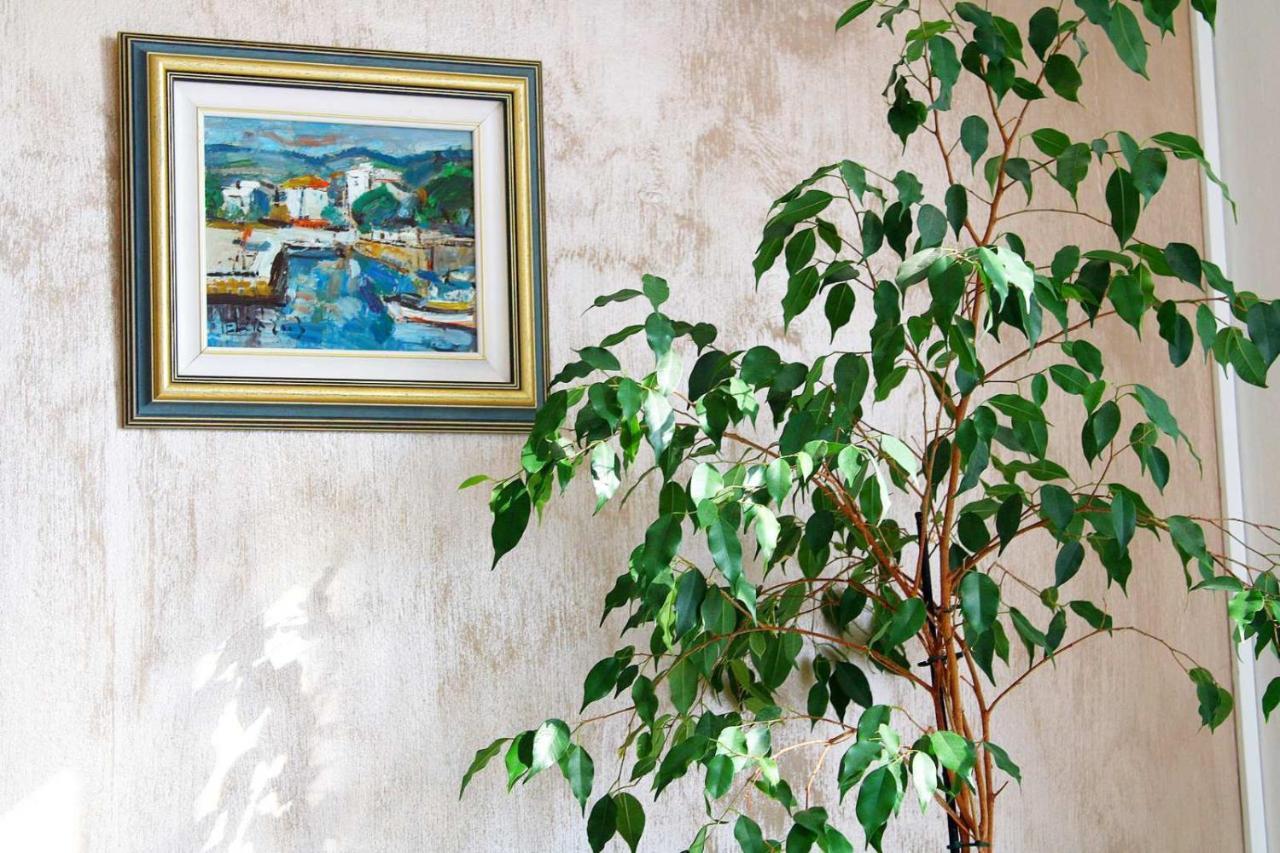 Apartman Anka دوبروفينك المظهر الخارجي الصورة